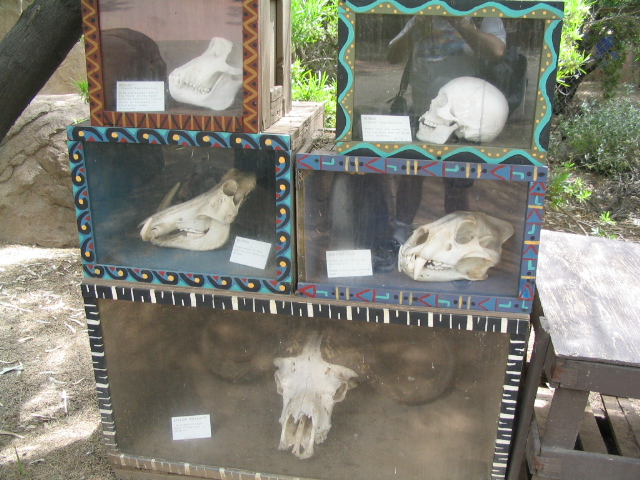 618x457 pixels (217K)